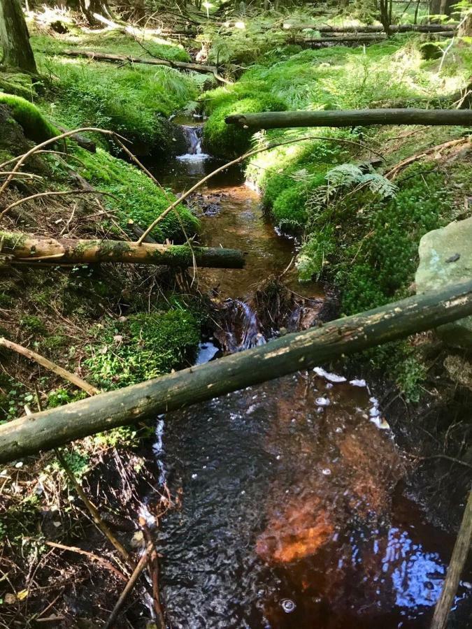 Ferienwohnung Gipfelnest Braunlage Exteriör bild